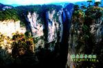 【純玩拼團(tuán)線路6】張家界、黃龍洞、天門山、天子山三晚四日游