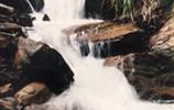 玉龍?jiān)怼㈨懰?></a></dd>
  <dd>
	 

	

	 

	　　雨母山西北一個山皂，東西縱向長達(dá)1公里。有叫玉龍?jiān)?，有叫響水皂。該皂有響水泉和響水瀑布。在玉龍?jiān)砼c九龍沖相隔的山坳，叫玉龍騰山坳，簡稱玉龍坳。玉龍土皂現(xiàn)駐有供電所、林場和蒸湘區(qū)黨校。在玉龍?jiān)淼祝幸蝗_，叫玉龍臺。...[<a href=